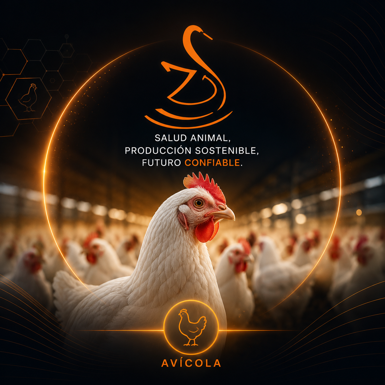 Avicultura — Zissma